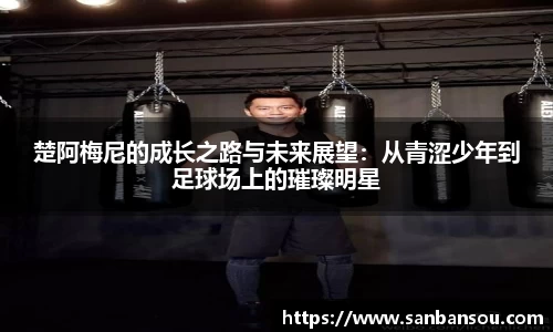 WE真人视讯官网