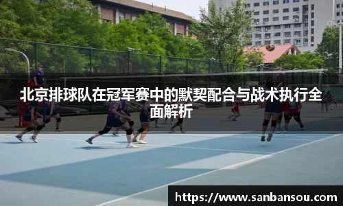 WE真人视讯官网